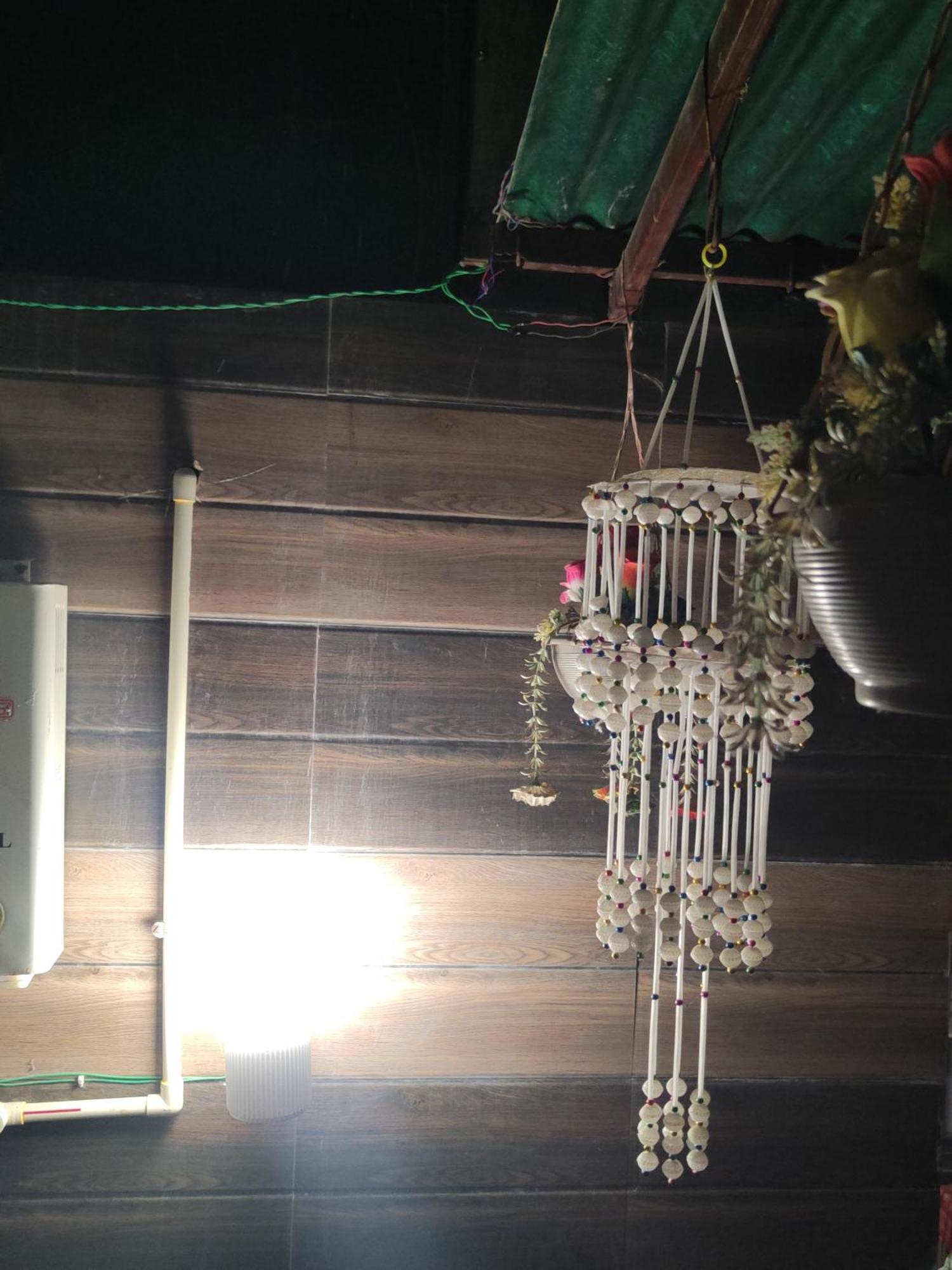The Green House Impact Jodhpur  Exterior photo